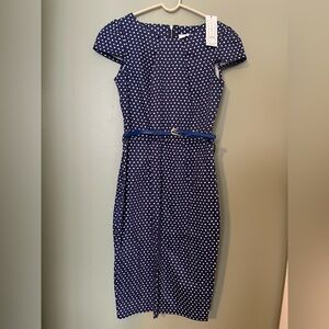 Closet Polka Dot Dress
